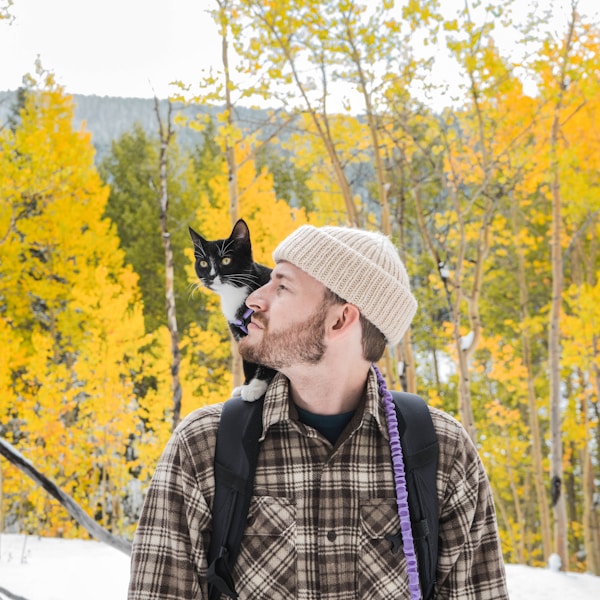 ペットキャリー